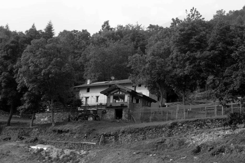 Locanda Il Campo Della Quercia San Damiano Macra Exteriör bild